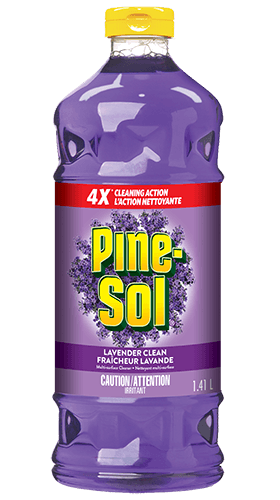 Pine-Sol Fraîcheur Lavande - Embouteillé au Canada