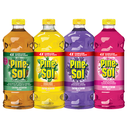 pine sol family shot